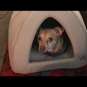 Meet your Posher, Angela